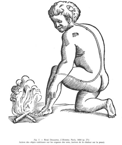 Fig.-5.---ReneDescartes