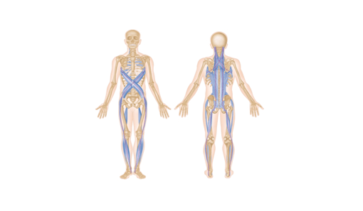 fascias lpgmedical-1