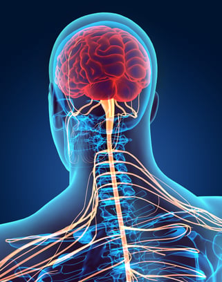 iStock-514260236