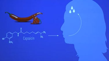 illu-piment-capsaicine