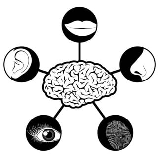 sensoriel