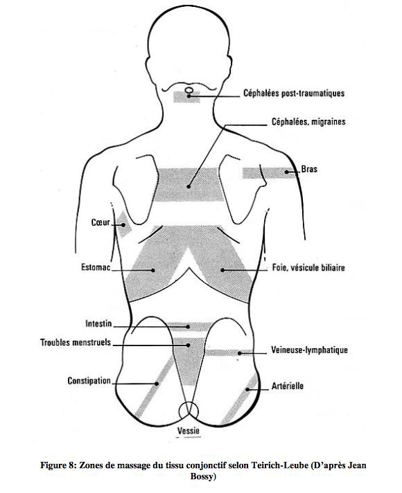 zones de massage du tissu conjonctif